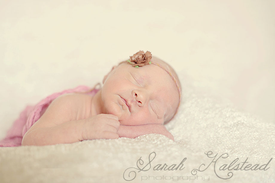 Newborn Photographer Virginia Beach